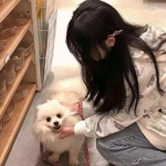 梦幻仙语百度版本下载